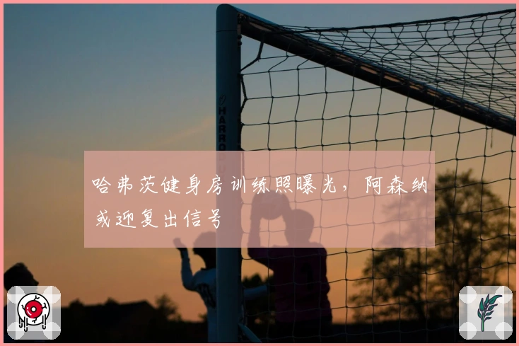 哈弗茨健身房训练照曝光，阿森纳或迎复出信号